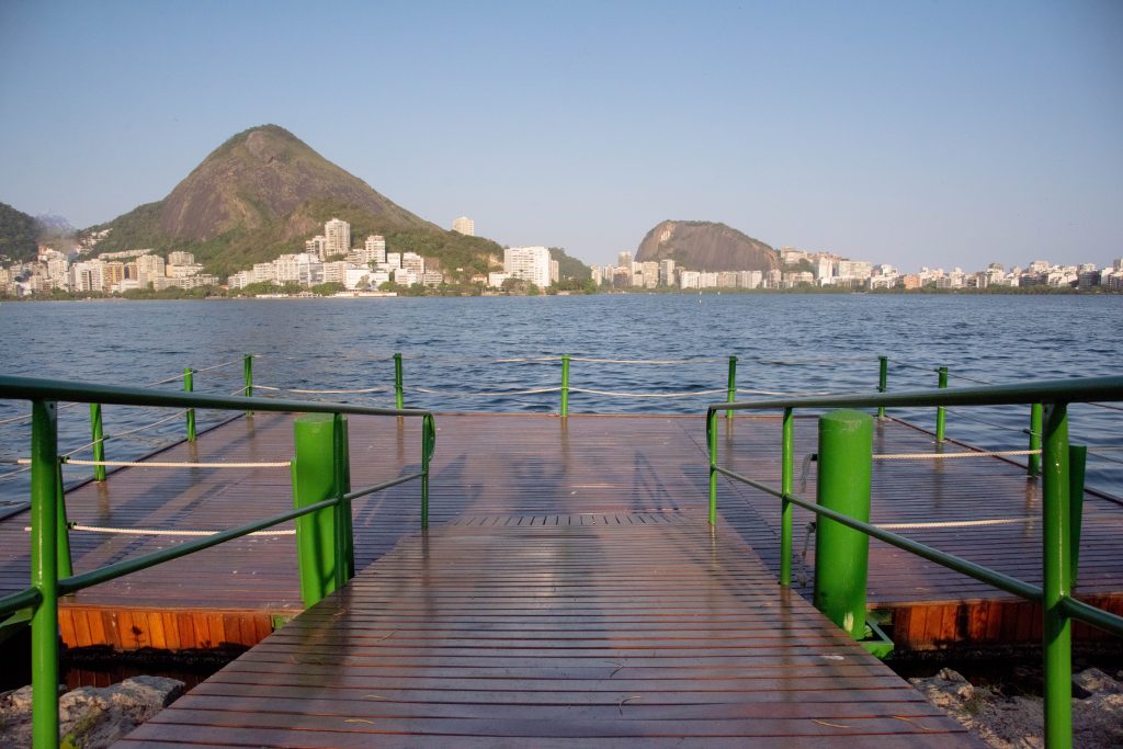 51536137143_838239c8cf_o