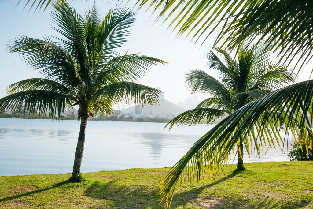 51536618244_6b0e677f69_o