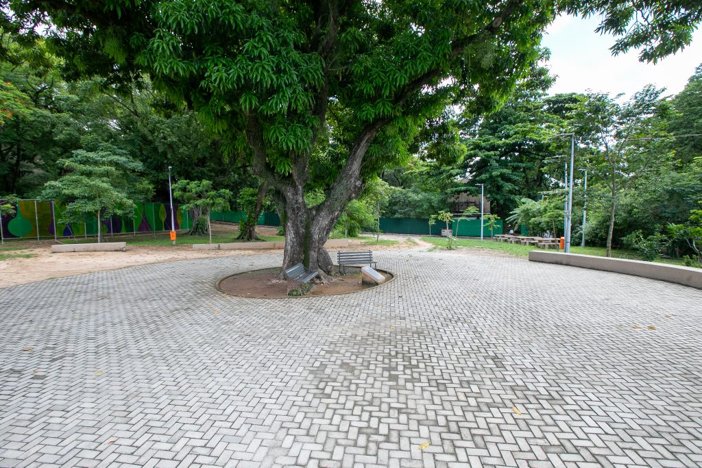 Bosque Dona Ivone Lara_Foto_@LéoRipamonti305A5508