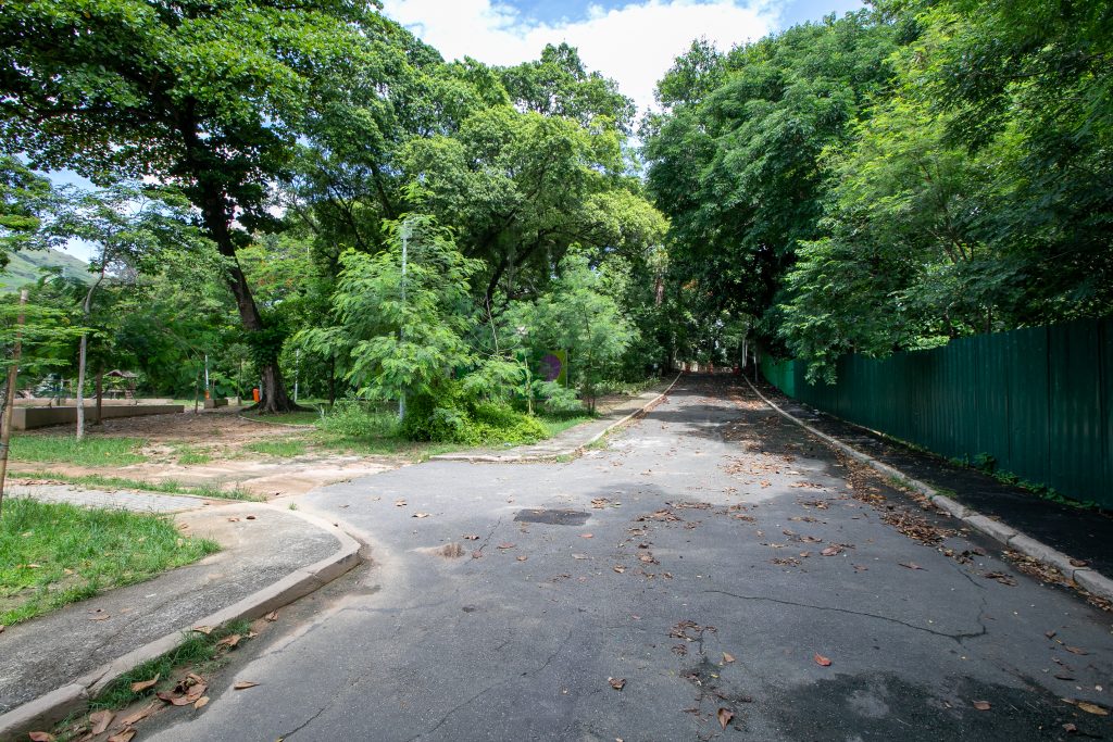 Bosque Dona Ivone Lara_Foto_@LéoRipamonti305A5517