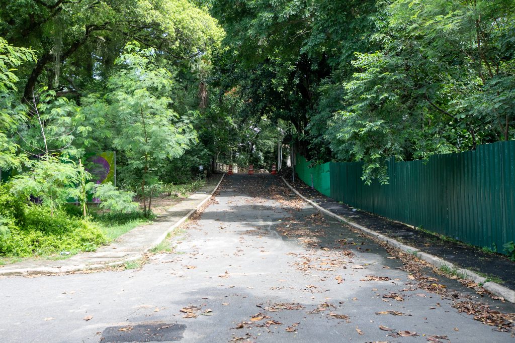 Bosque Dona Ivone Lara_Foto_@LéoRipamonti305A5518