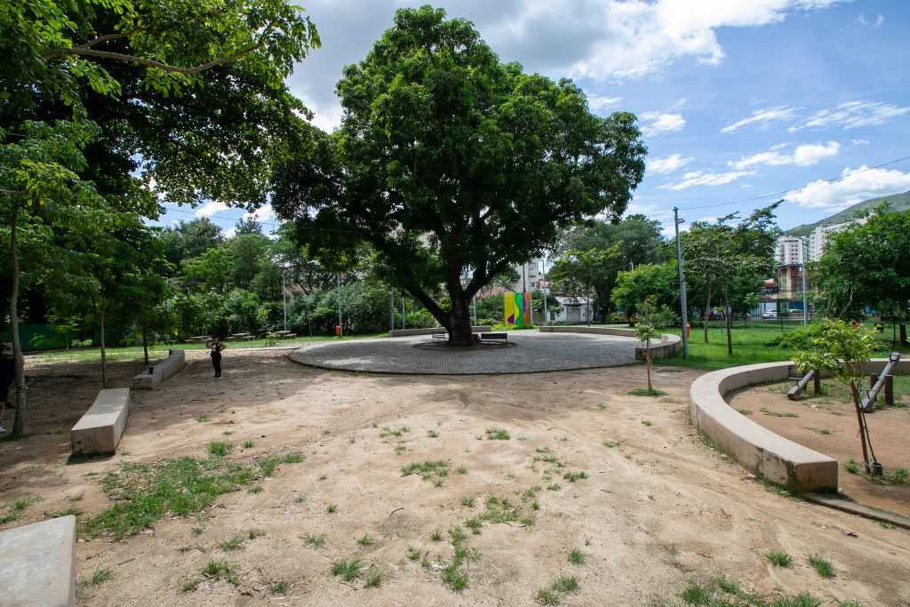 Bosque Dona Ivone Lara_Foto_@LéoRipamonti305A5523