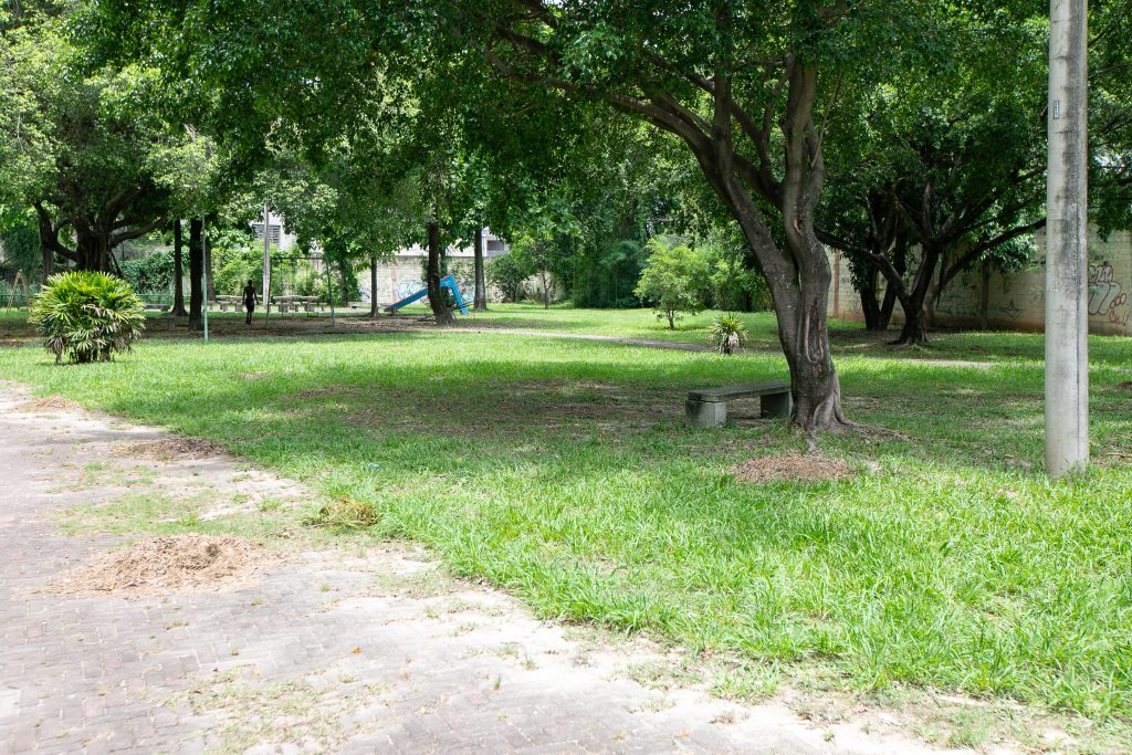 Parque Prof. Célio Lupparelli_Foto_@LéoRipamonti305A5344