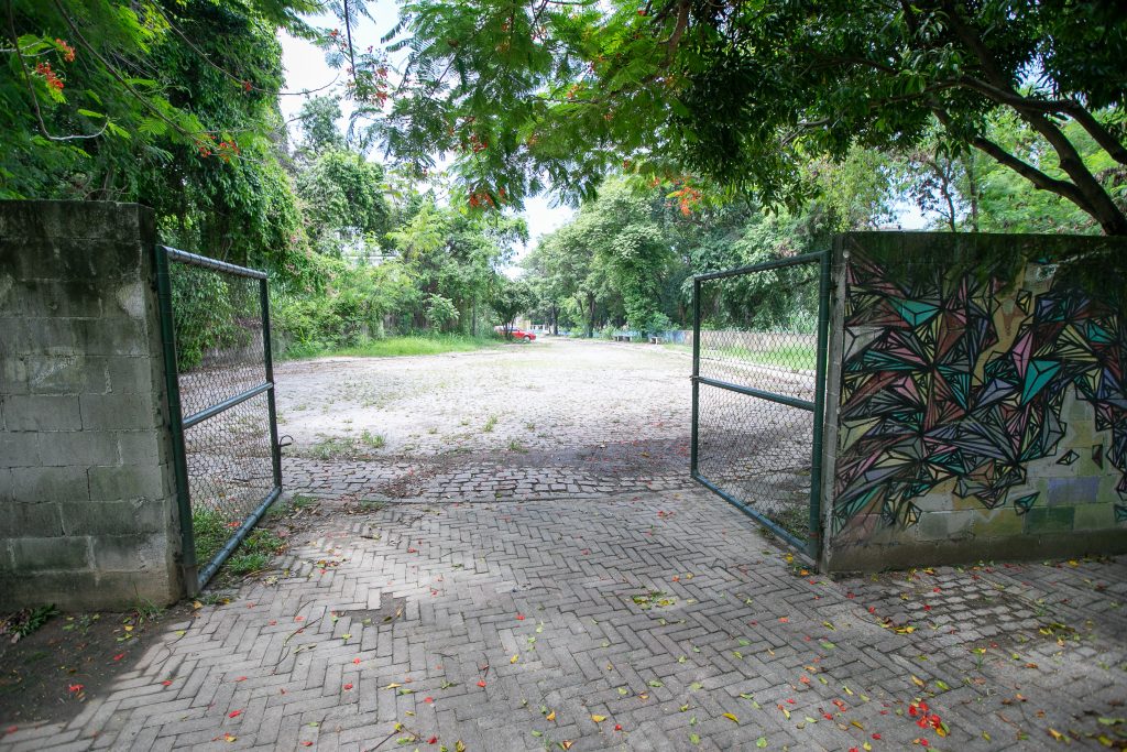 Parque Prof. Célio Lupparelli_Foto_@LéoRipamonti305A5353