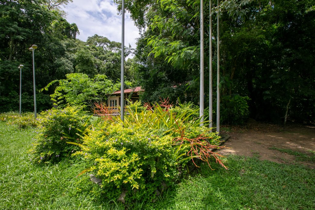 Bosque da Freguesia_Jacarepaguá_@Léo Ripamonti305A5668