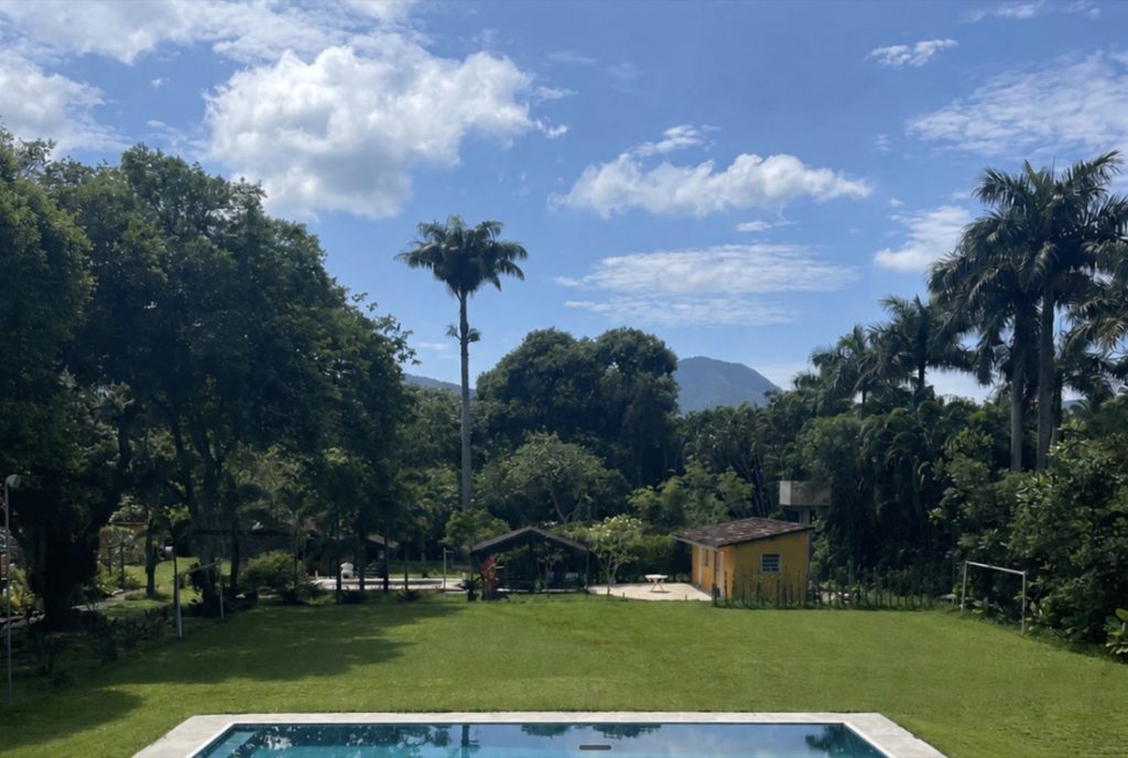 05-o-gramado