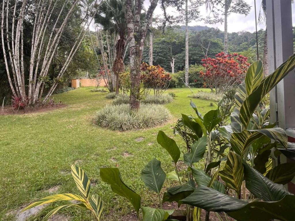 09-o-jardim-canteiros-e-palmeiras